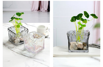 Modern simple style glass square vase